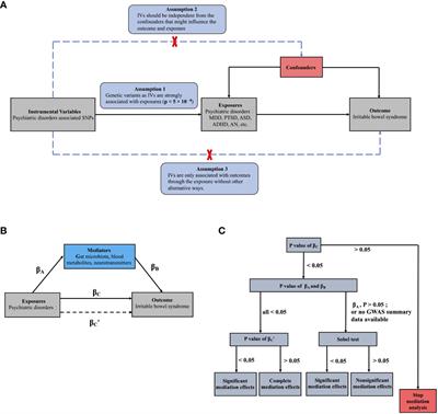 Genetic associations and potential mediators between psychiatric disorders and irritable bowel syndrome: a Mendelian randomization study with mediation analysis